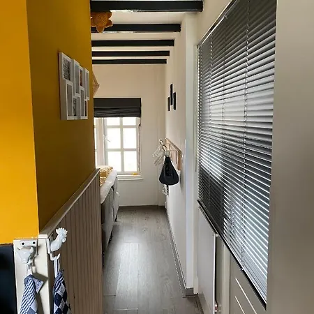 Bos En Duin بيت ضيافة Vogelenzang