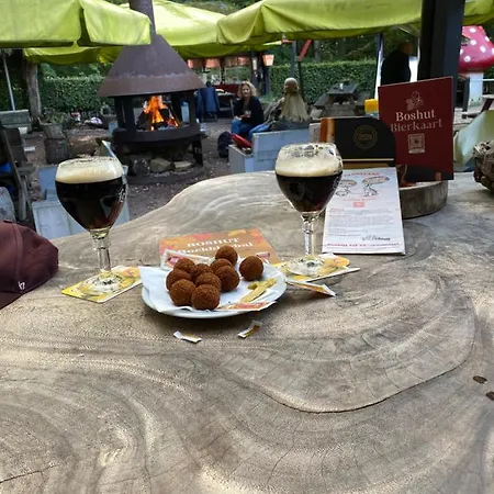 Bos En Duin * Vogelenzang