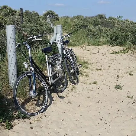 Bos En Duin *