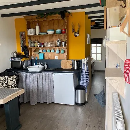 Bos En Duin بيت ضيافة Vogelenzang